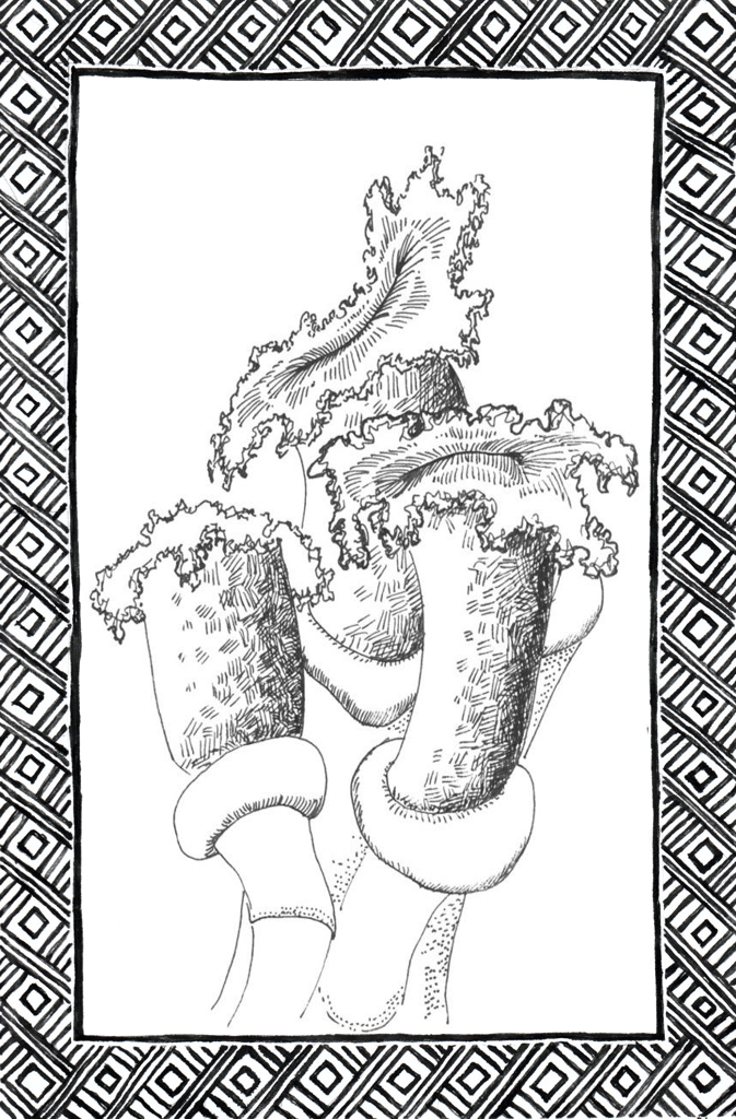 Slide 35
